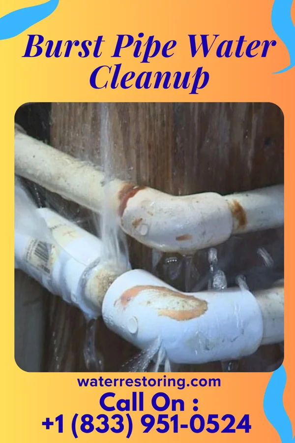 Burst Pipe Water Cleanup in Roscoe, PA