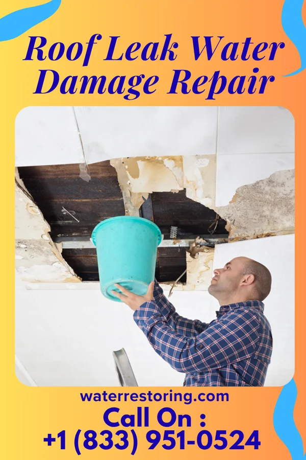 Roof Leak Water Damage Repair in Roscoe, PA