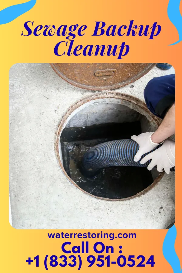 Sewage Backup Cleanup in Roscoe, PA