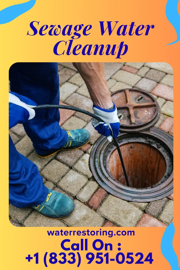 Sewage Water Cleanup in Roscoe, PA